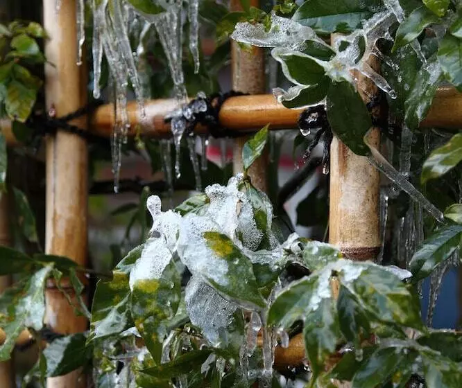 Fotos del hotel Ohara No Sato:  7