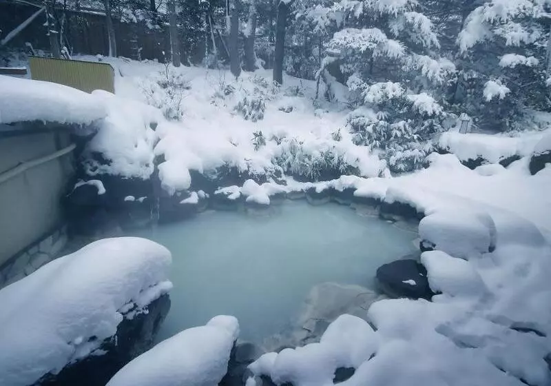 Fotos del hotel Okunikko Konishi:  15