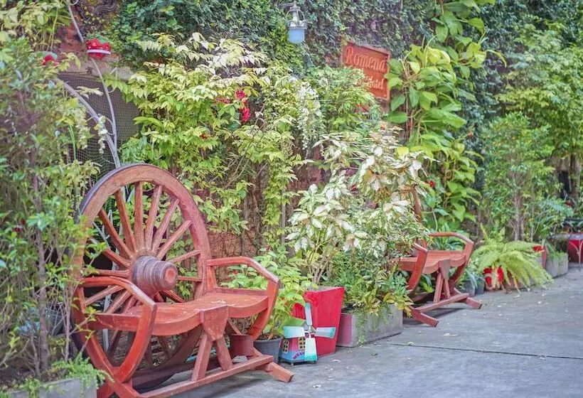 Fotos del hotel Romena Grand:  11