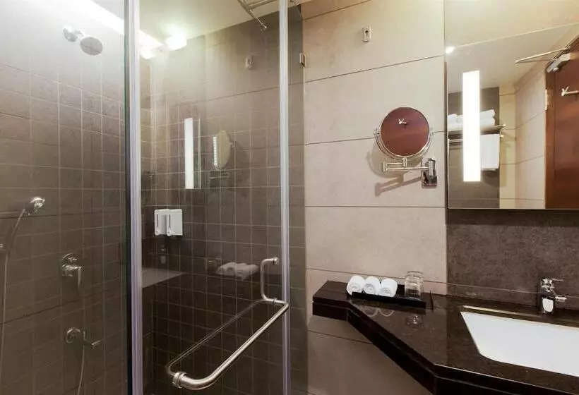 Fotos del hotel Cosmopolitan Ahmedabad:  13