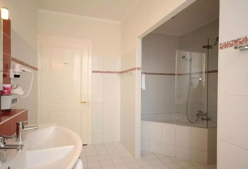 Fotos del hotel Grand Hôtel Des Rasses:  21