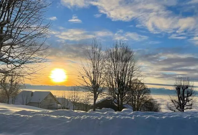 Fotos del hotel Grand Hôtel Des Rasses:  9