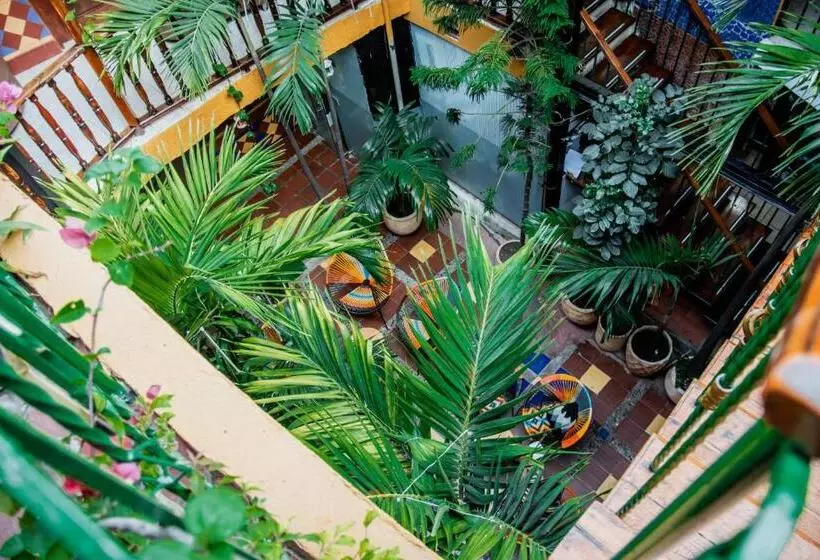 Fotos del hotel La Casona De Getsemani:  15