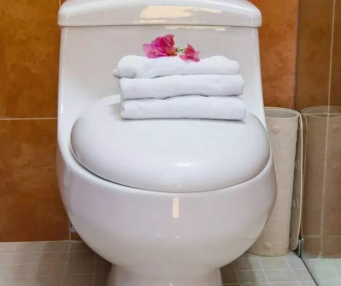 Fotos del hotel Socaire:  10