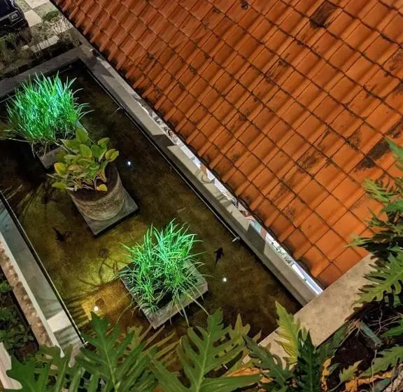 Fotos del hotel Villa Damar Boutique:  5