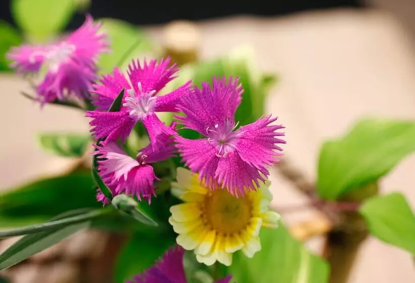 Fotos del hotel Arima Hot Spring Ryokan Hanamusubi:  11