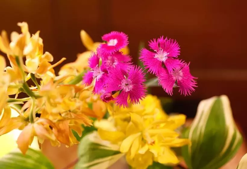 Fotos del hotel Arima Hot Spring Ryokan Hanamusubi:  14