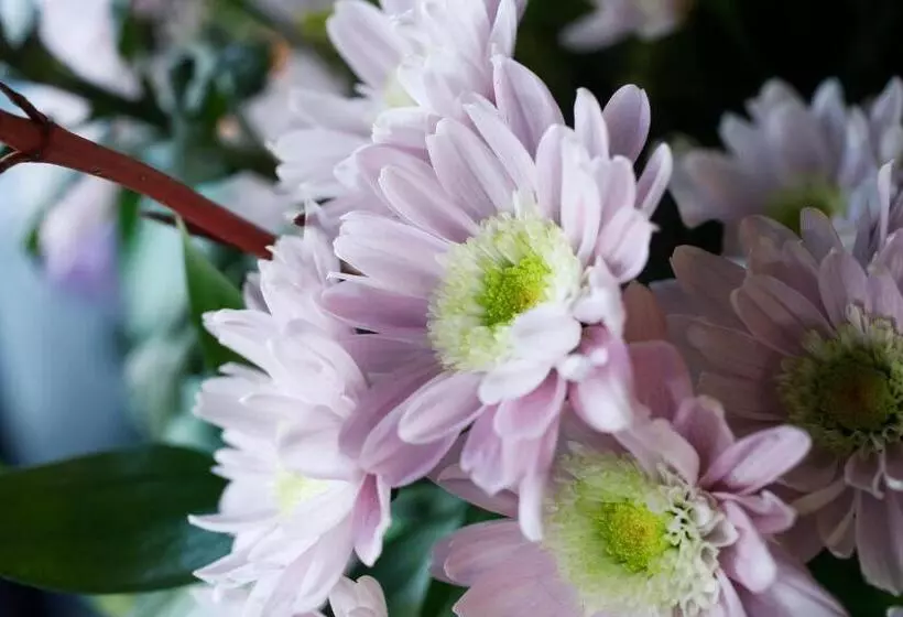 Fotos del hotel Arima Hot Spring Ryokan Hanamusubi:  20