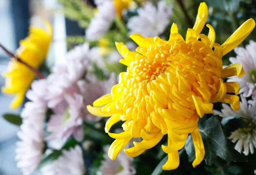 Fotos del hotel Arima Hot Spring Ryokan Hanamusubi:  16