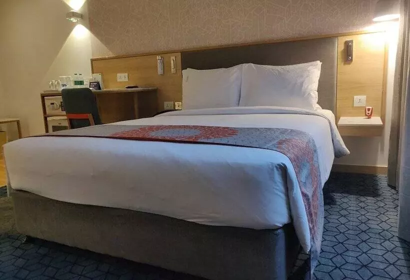 Fotos del hotel Holiday Inn Express Ahmedabad Prahlad Nagar, An Ihg:  2