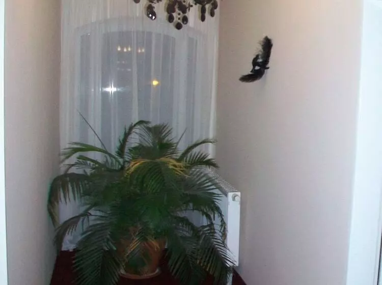 Fotos del hotel Imperial:  7