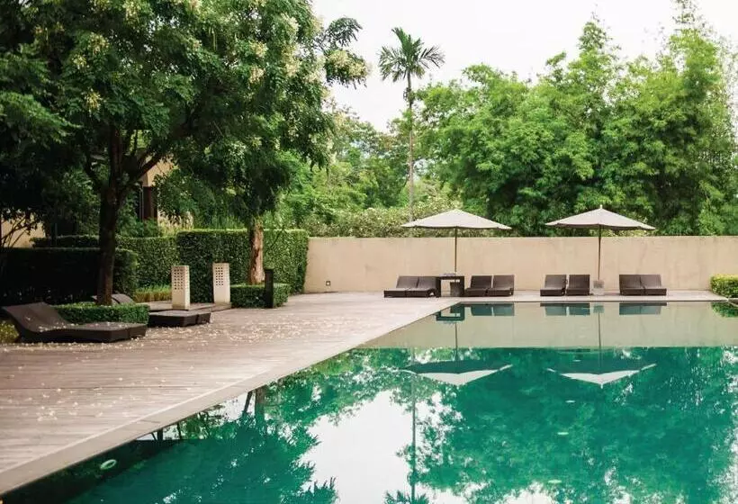 Fotos del hotel Muthi Maya Forest Pool Villa Resort:  10