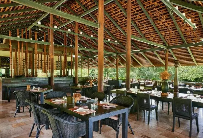 Fotos del hotel Muthi Maya Forest Pool Villa Resort:  24