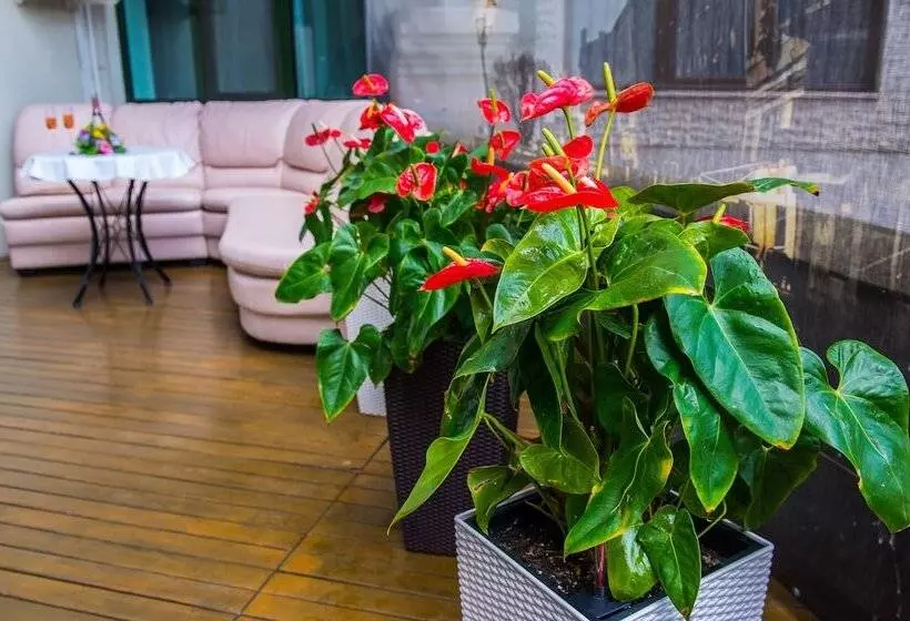 Fotos del hotel Savoy:  11