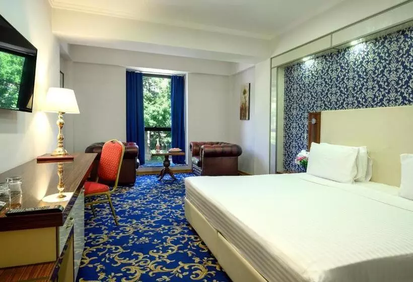 Fotos del hotel Royal Plaza:  9