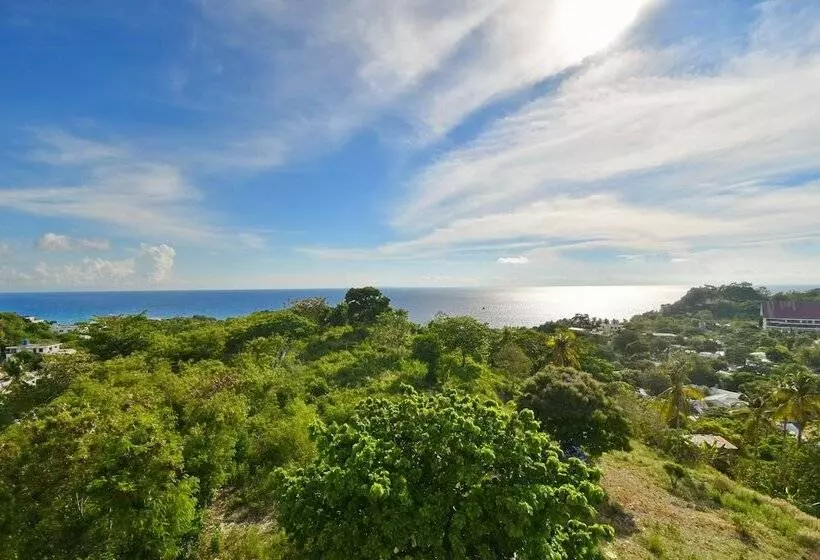 Fotos del hotel Soffia:  5