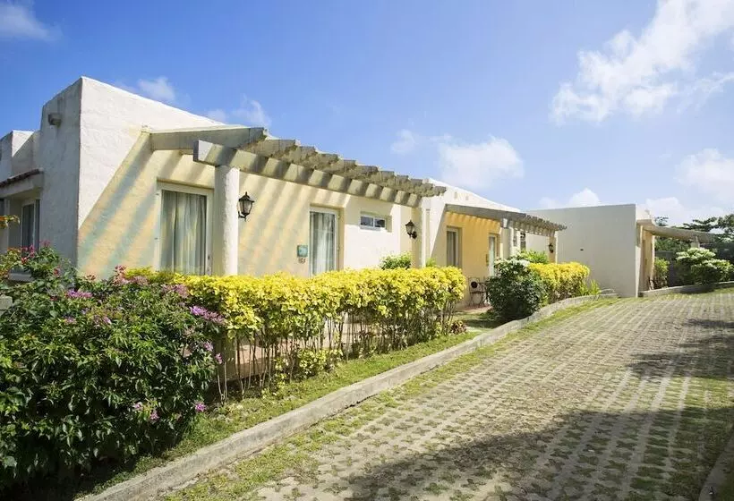 Fotos del hotel Soffia:  11