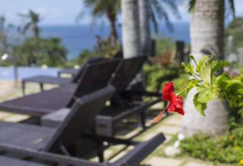 Fotos del hotel Soffia:  2