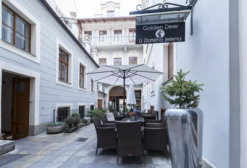 Fotos del hotel U Zlateho Jelena:  3