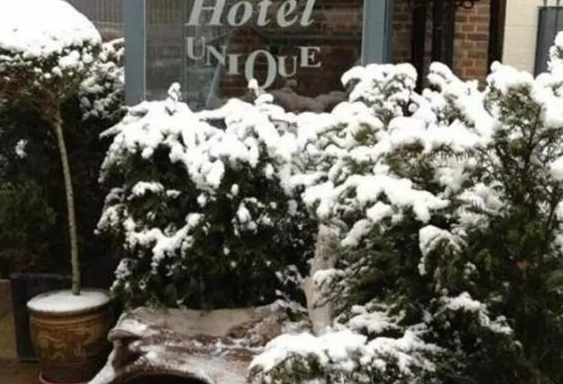 Fotos del hotel Unique:  10