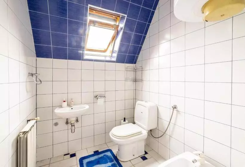 Fotos del hotel Le Rose:  7