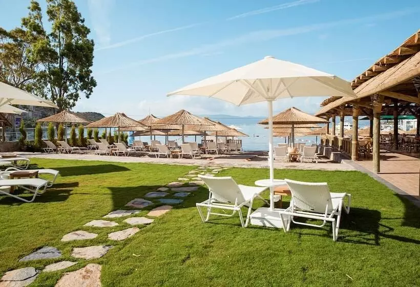 Fotos del hotel Sentido Bellazure:  12