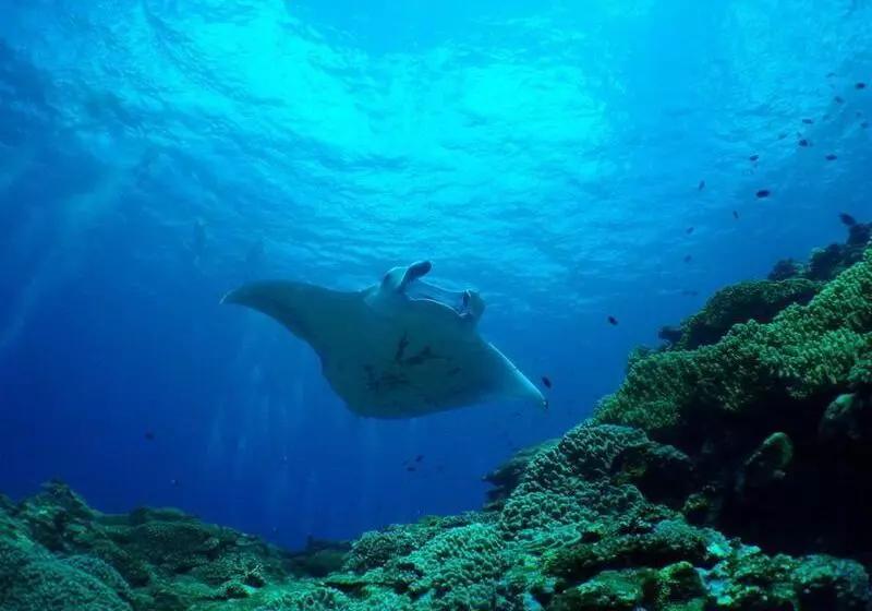 Fotos del hotel Haimurubushi:  10