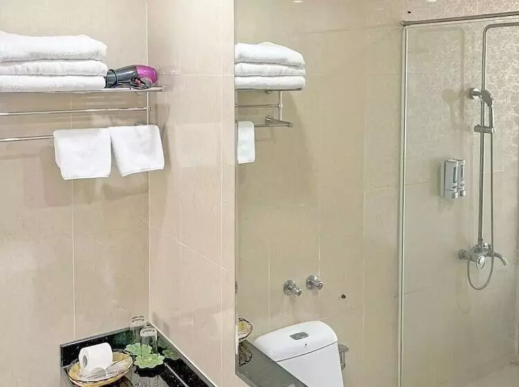 Fotos del hotel Millennium Hanoi:  12