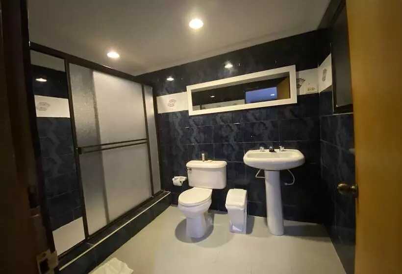 Fotos del hotel Puerta De Oro:  5