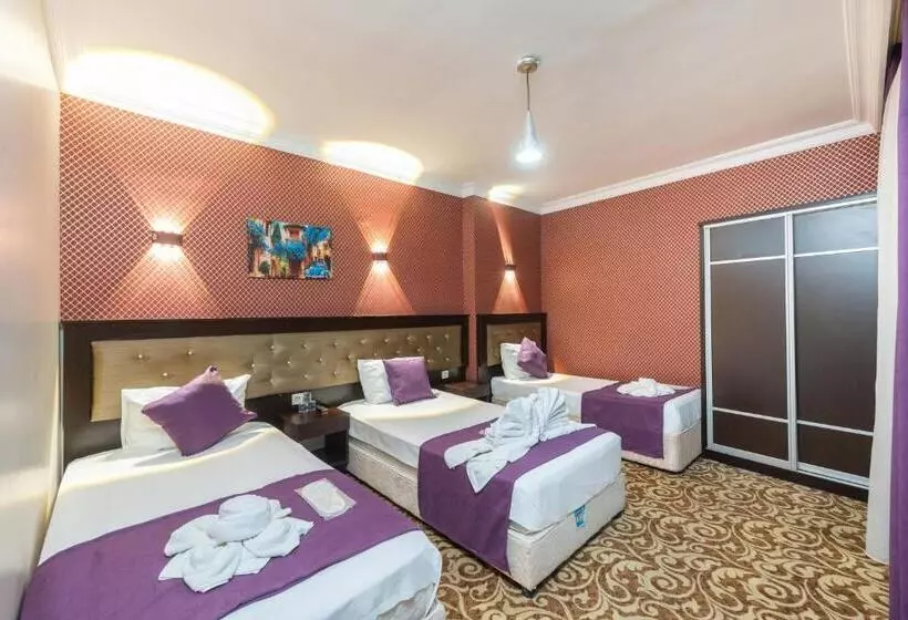 Fotos del hotel Diamond City Istanbul:  22