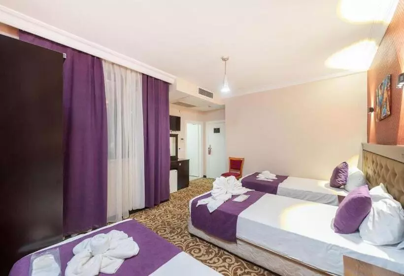 Fotos del hotel Diamond City Istanbul:  15