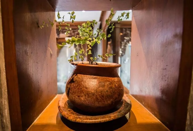 Fotos del hotel Fare Ti’i Villas:  9