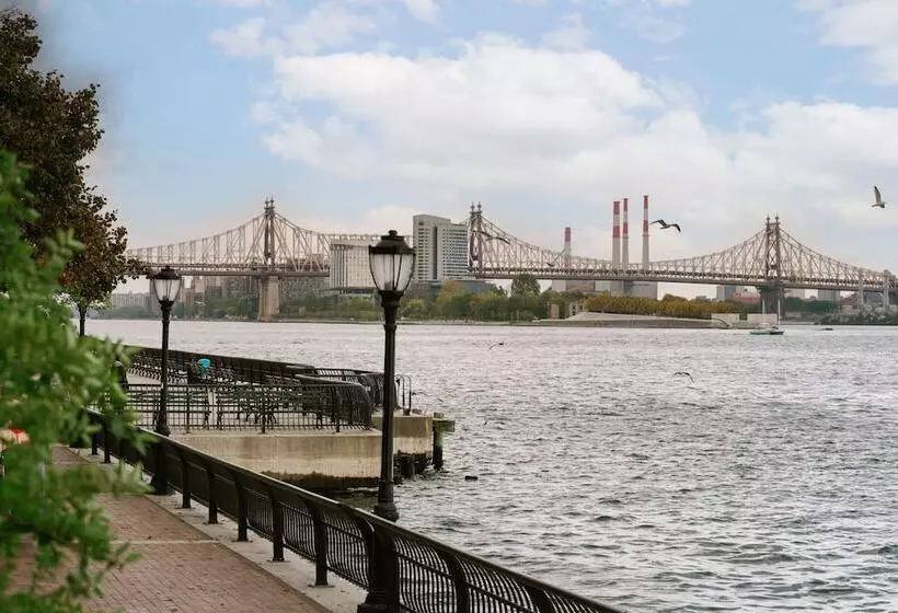 Fotos del hotel The William:  17