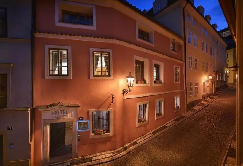 Fotos del hotel At The Green Grape:  13