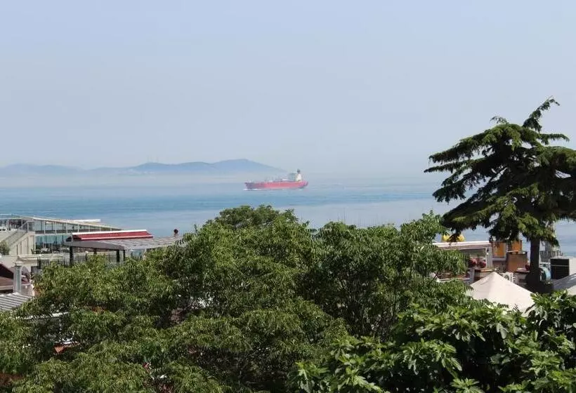 Fotos del hotel Ararat:  12