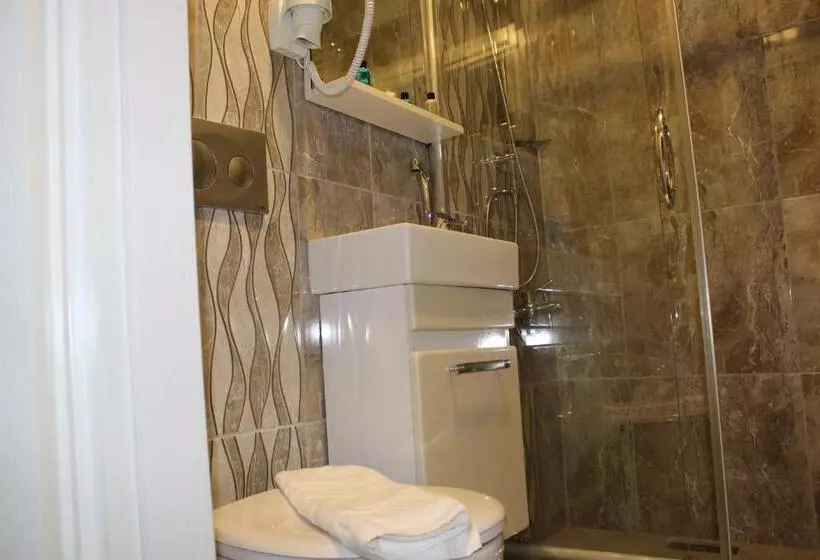 Fotos del hotel Ararat:  8