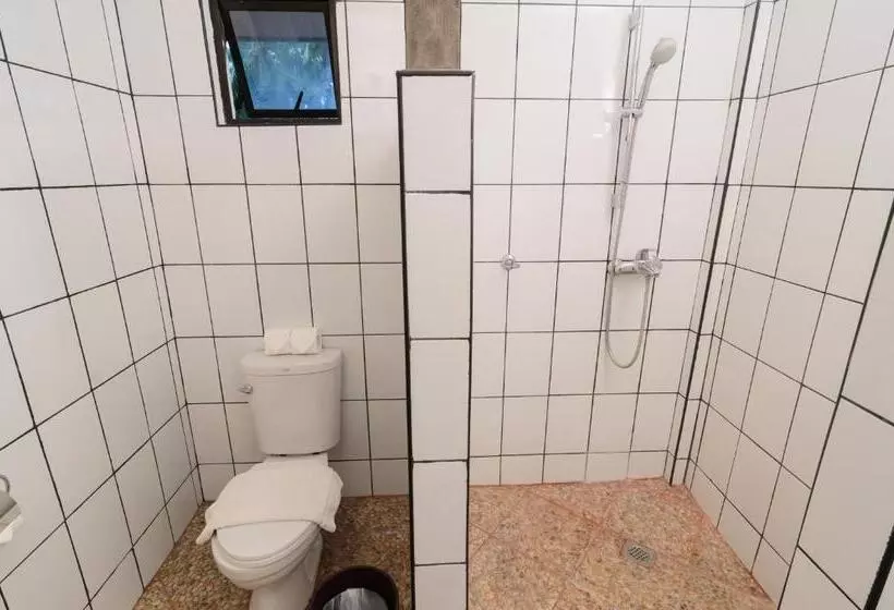 Fotos del hotel Bohol Sea Resort:  16