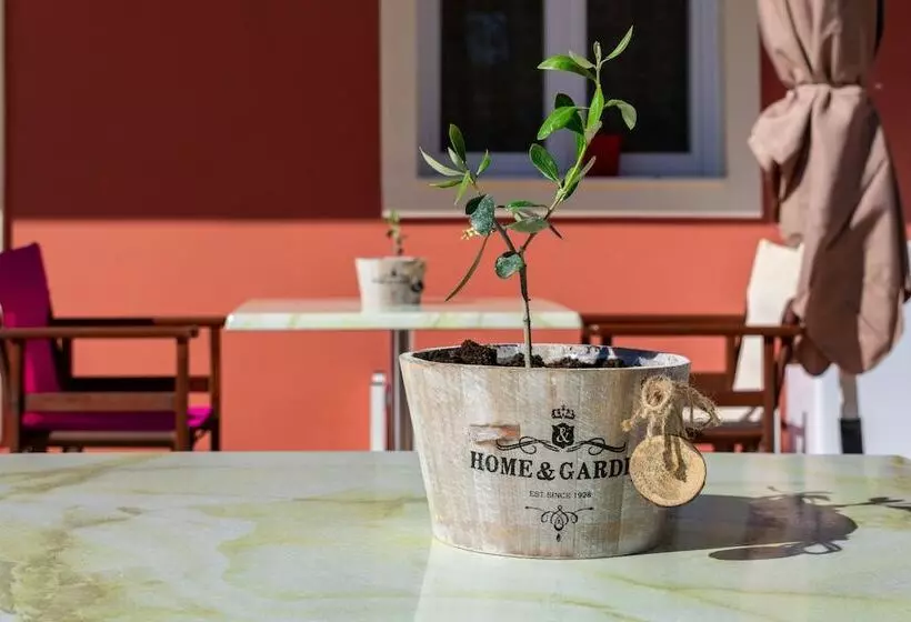 Fotos del hotel Zante Pantheon:  5