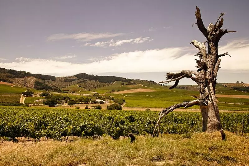 Fotos del hotel Wedgeview Country House & Spa:  16