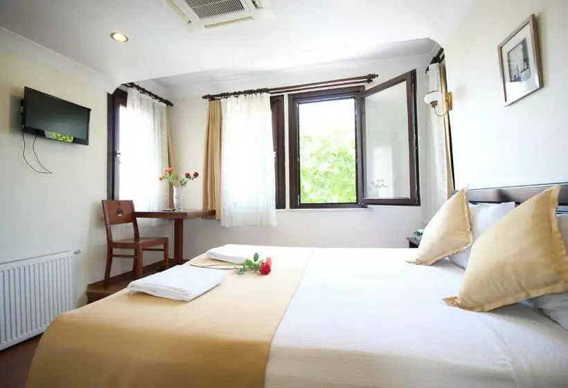 Fotos del hotel Sultans:  6