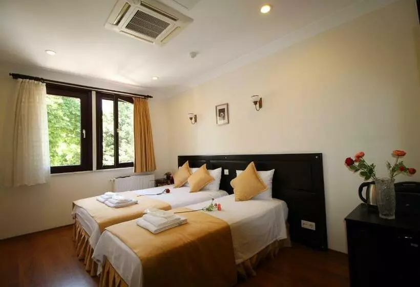 Fotos del hotel Sultans:  17