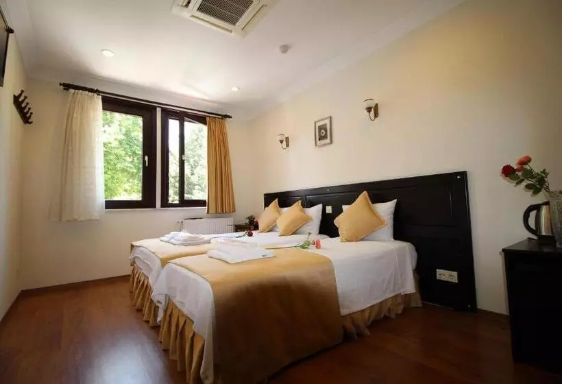 Fotos del hotel Sultans:  19