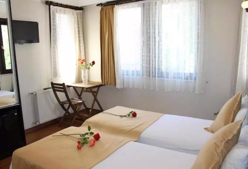 Fotos del hotel Sultans:  14