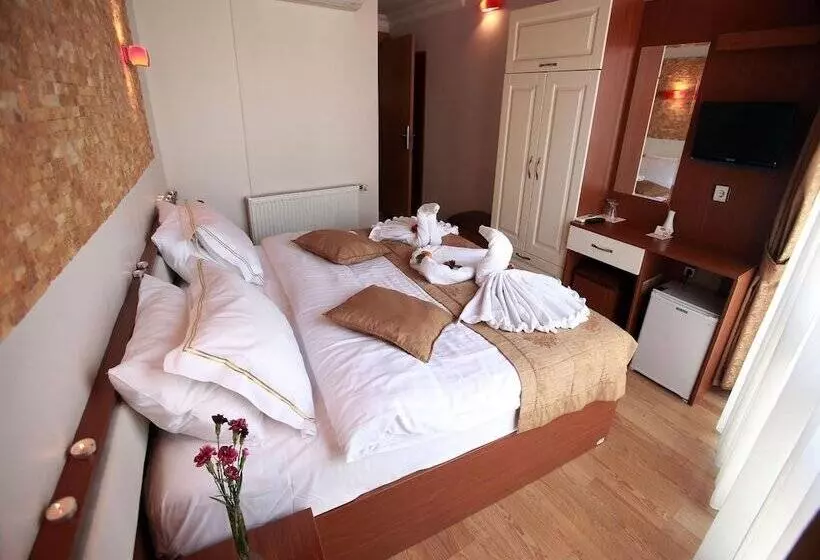 Fotos del hotel Arife Sultan:  6