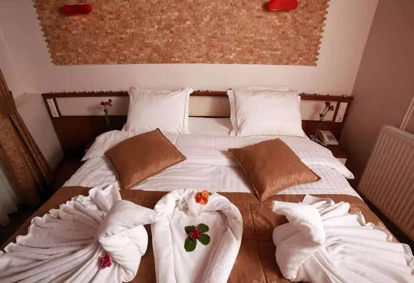 Fotos del hotel Arife Sultan:  20