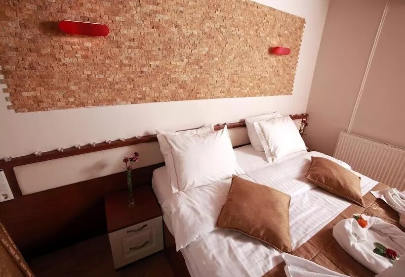 Fotos del hotel Arife Sultan:  18