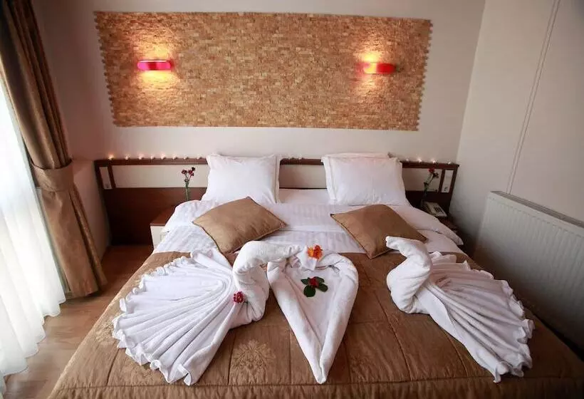 Fotos del hotel Arife Sultan:  19