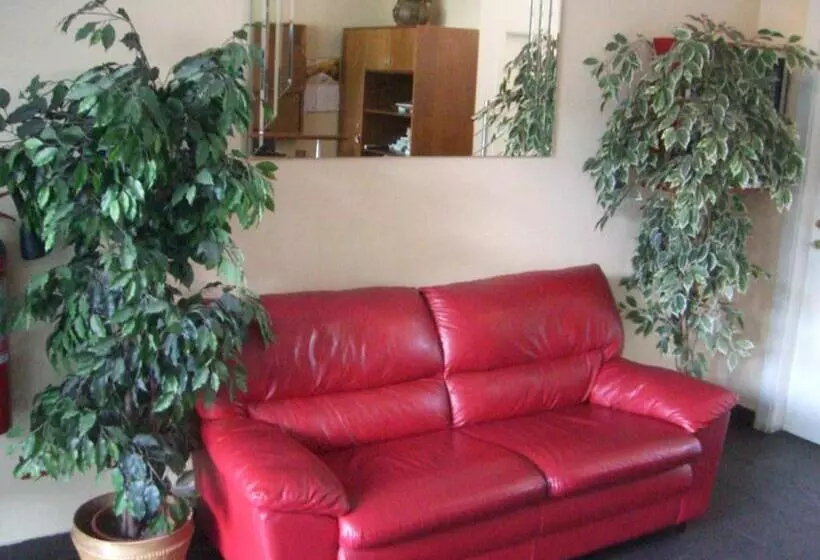 Fotos del hotel Ariston:  23