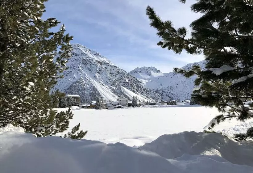 Fotos del hotel Arosa Vetter:  7