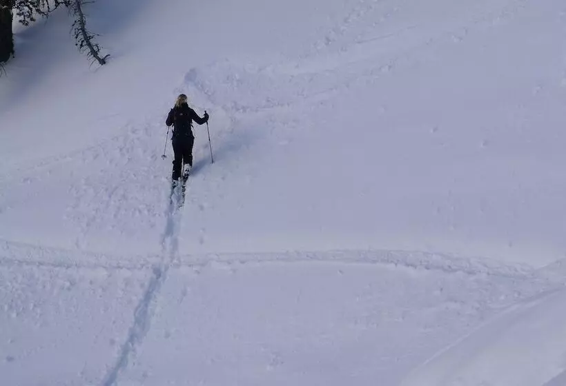 Fotos del hotel Continental:  8